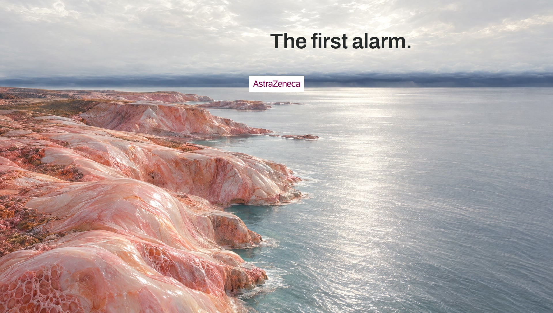 Key art: a pale living coastline under a far storm line, with the line The first alarm.